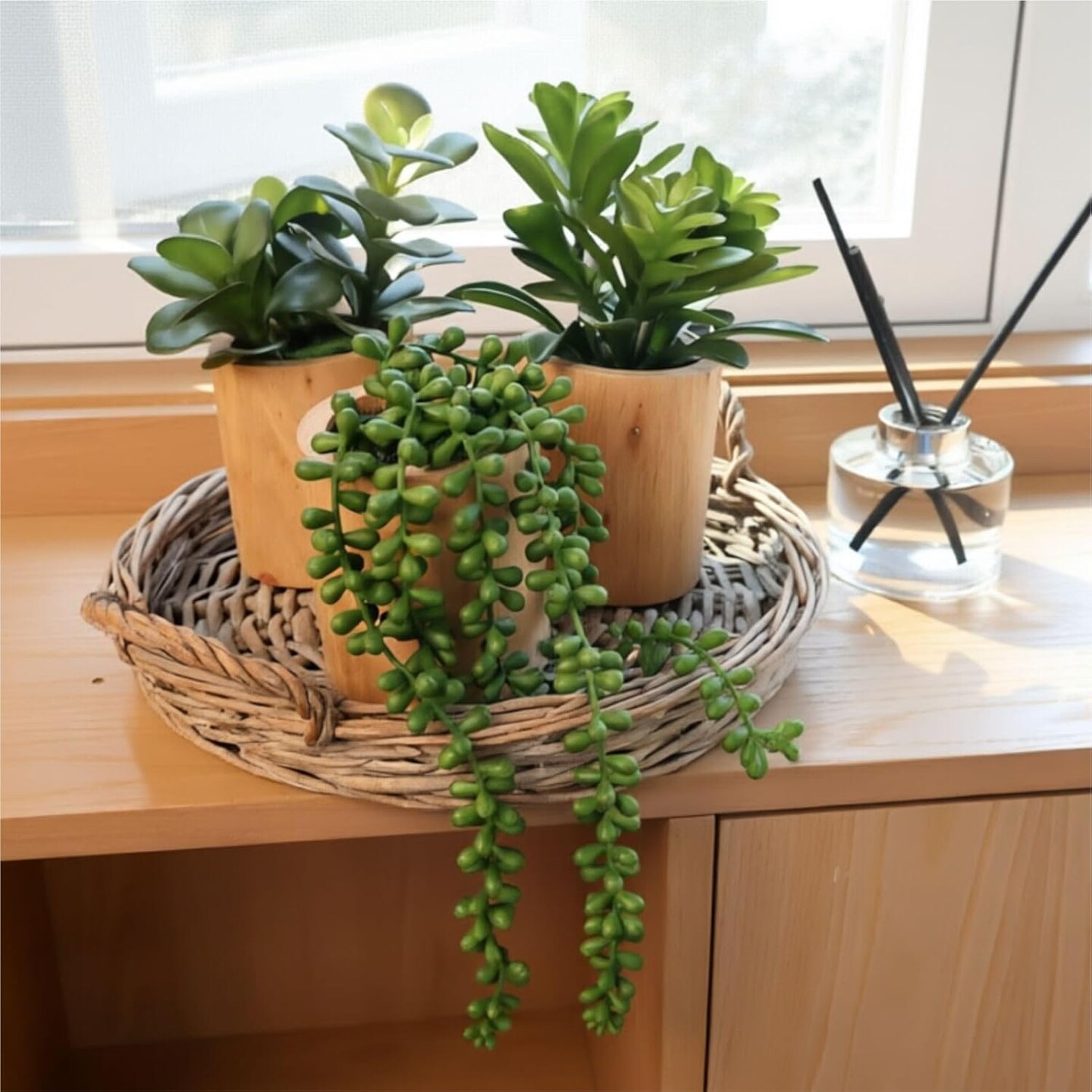 Set of 3 Mini Artificial Succulents in Pots – Realistic Faux Small Potted Plants for Aesthetic Room Decor, Office Desk, Bathroom & Bookshelf Modern Home Accents