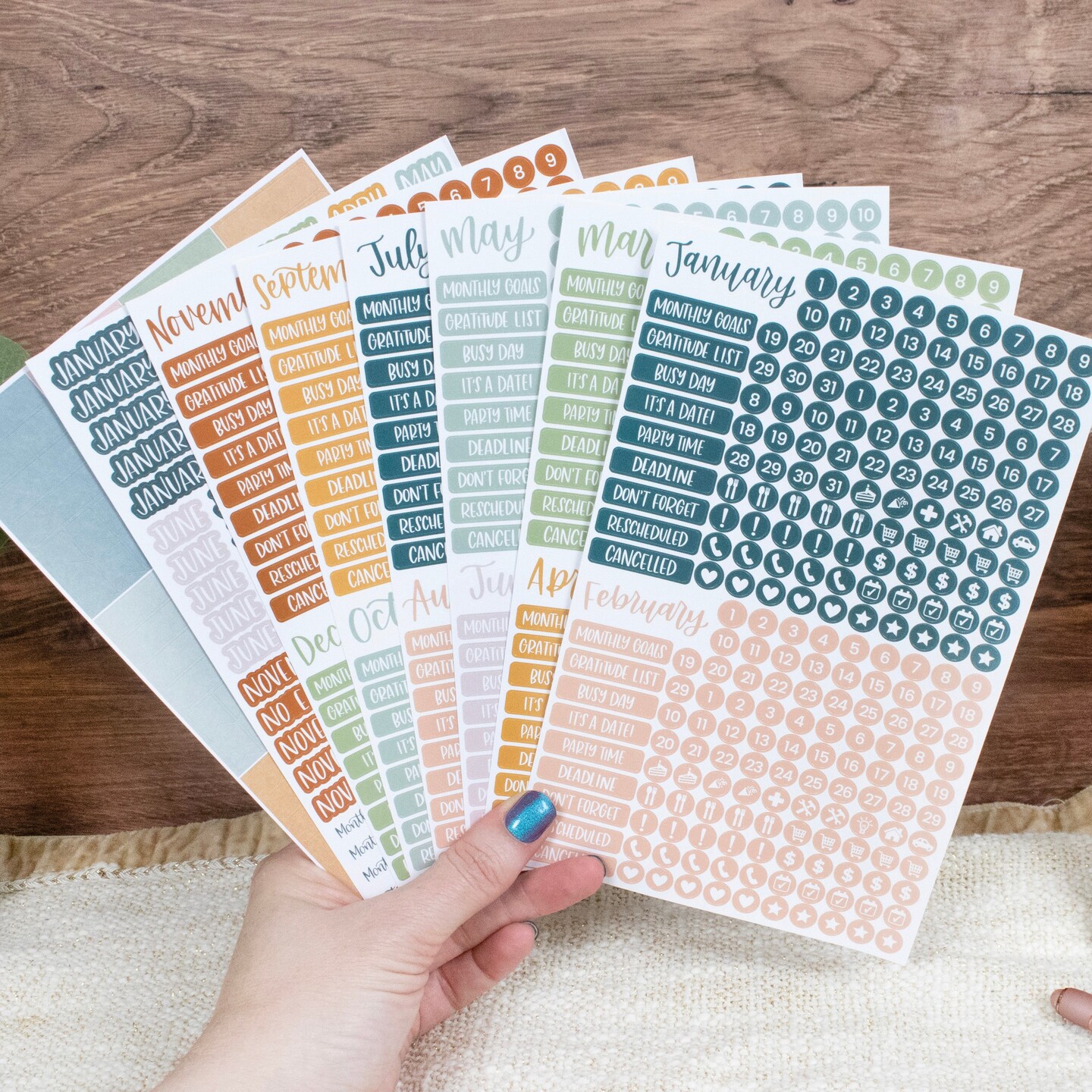 bloom daily planners Planner Sticker Pack, Calendar Essentials, Sweater Weather