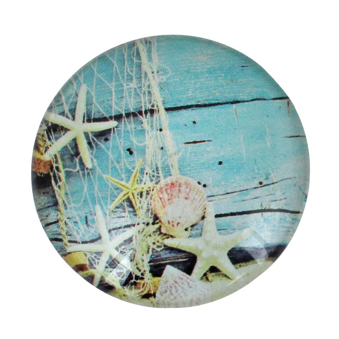 2&#x22; Glass Starfish On Boards Magnet