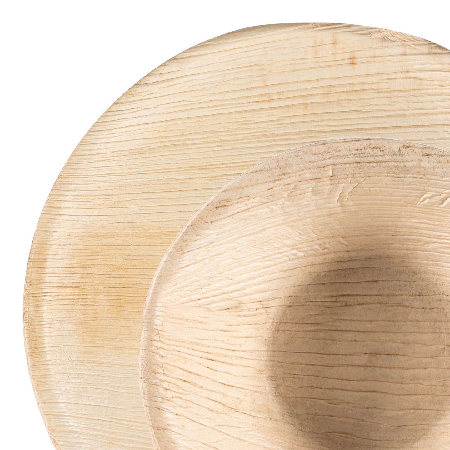 Round Palm Leaf Eco Friendly Disposable Dinnerware Value Set (100 Guests)