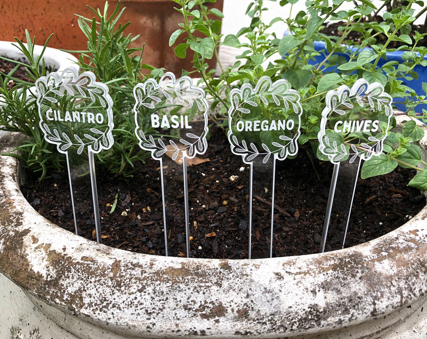 Plant Labels | Herbs, Flowers or Fruit and Vegetable Options | Any Plant, Any Variety | Gift Sets with Seeds | Weatherproof Etched Acrylic