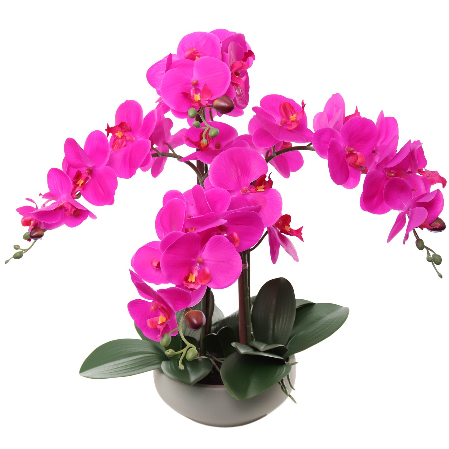 20&#x22; Fuchsia Phalaenopsis Orchid in Round Grey Pot &#x2013; Beautiful Artificial Flowers with Natural Leaf Details, Elegant Decor for Homes, Offices, and Special Occasions