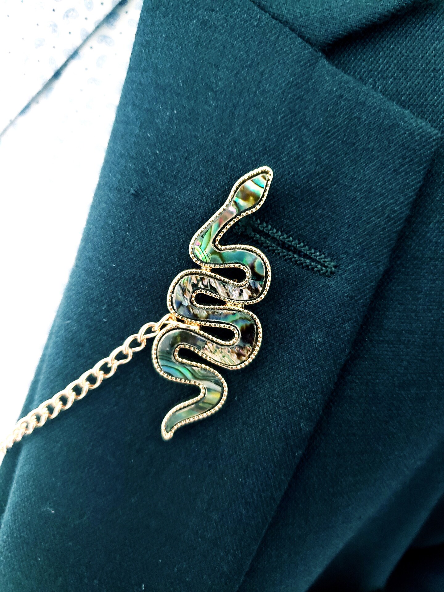 Snake Cloak Fastener Lapel Pin with Cardigan Chain