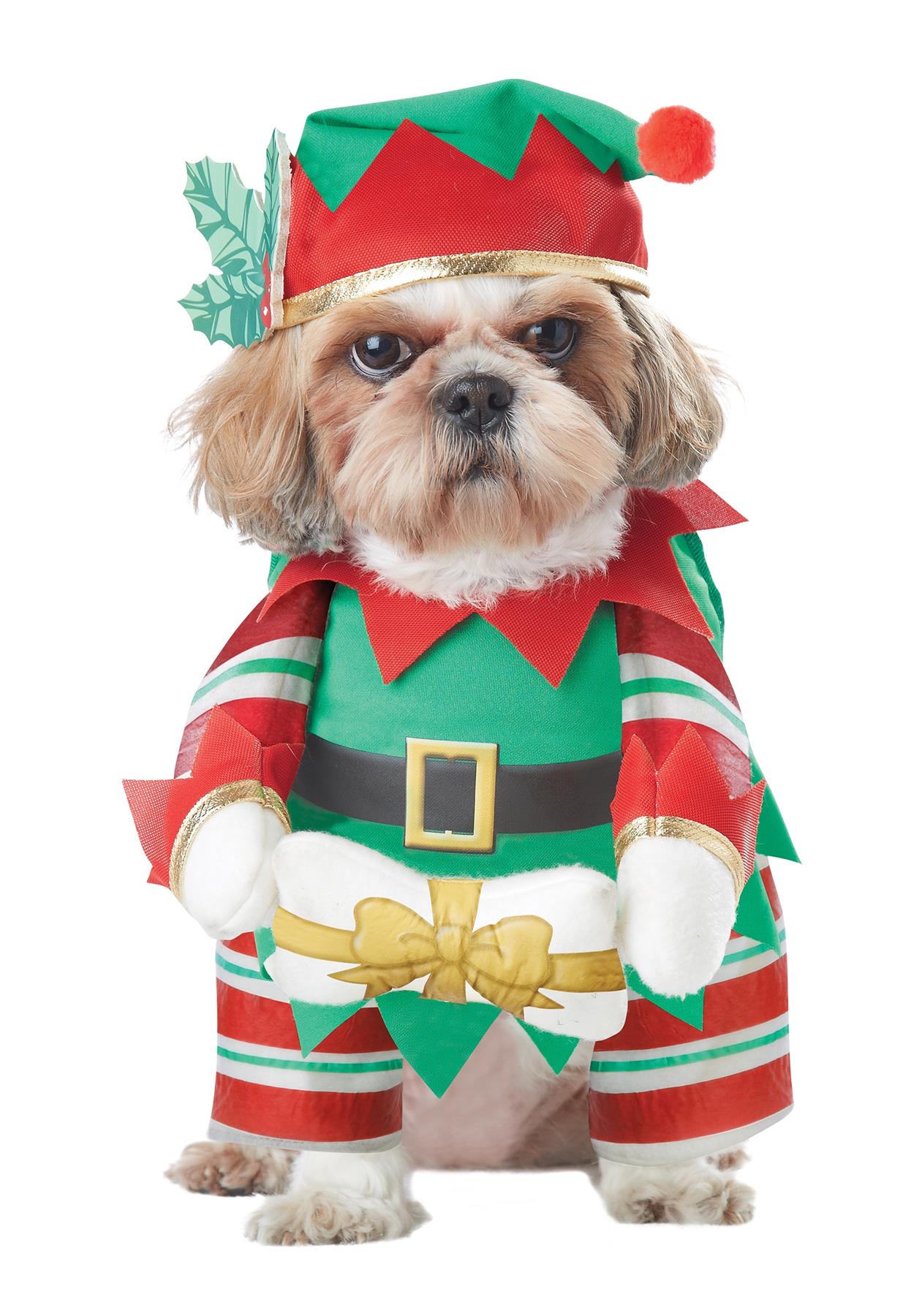 California Costumes Elf Pup Dog Costume X-Small