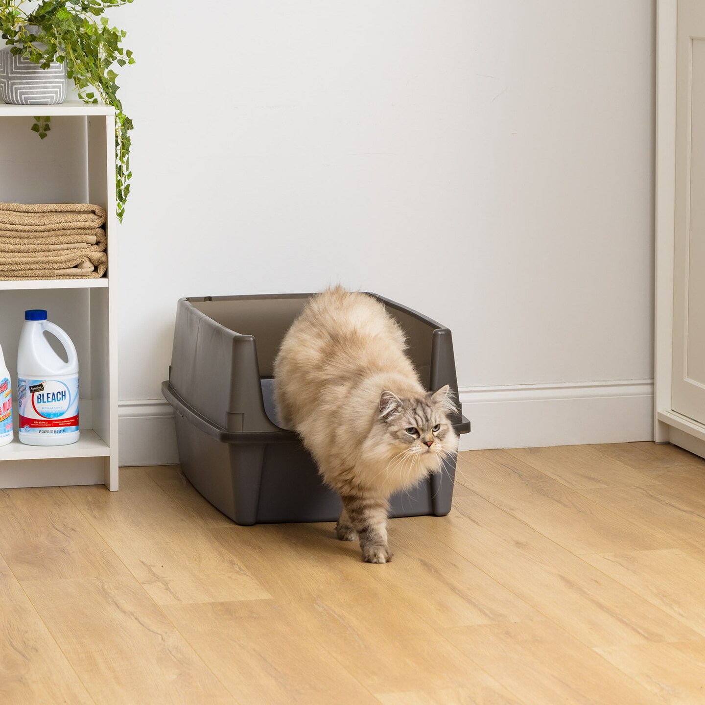 IRIS USA Extra Large Open Top Cat Litter Box with Scatter Shield, Sturdy Easy to Clean Open Air Kitty Litter Pan with Tall Spray