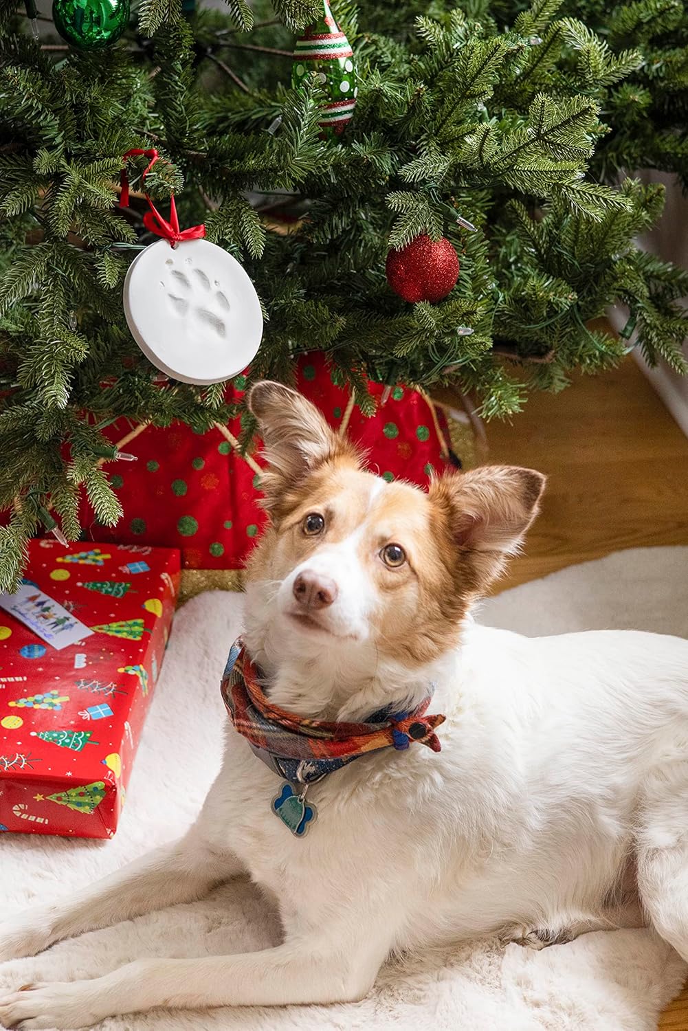 Pawprints 2-Pack Christmas Ornament, DIY No Mess Pet Paw Print Holiday Keepsake Kit, Dog or Cat Stocking Stuffer Gift, Christmas Gift for Pet Parents, Paw Print Ornament for The Holidays