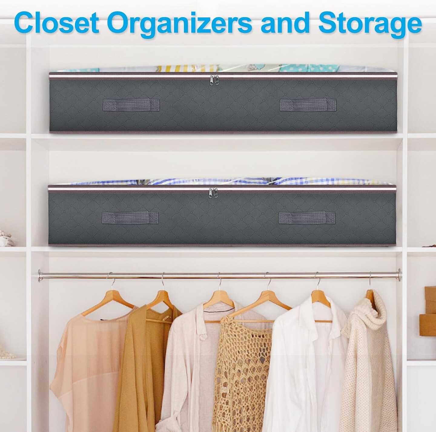 Closet Organizers and Storage Bins