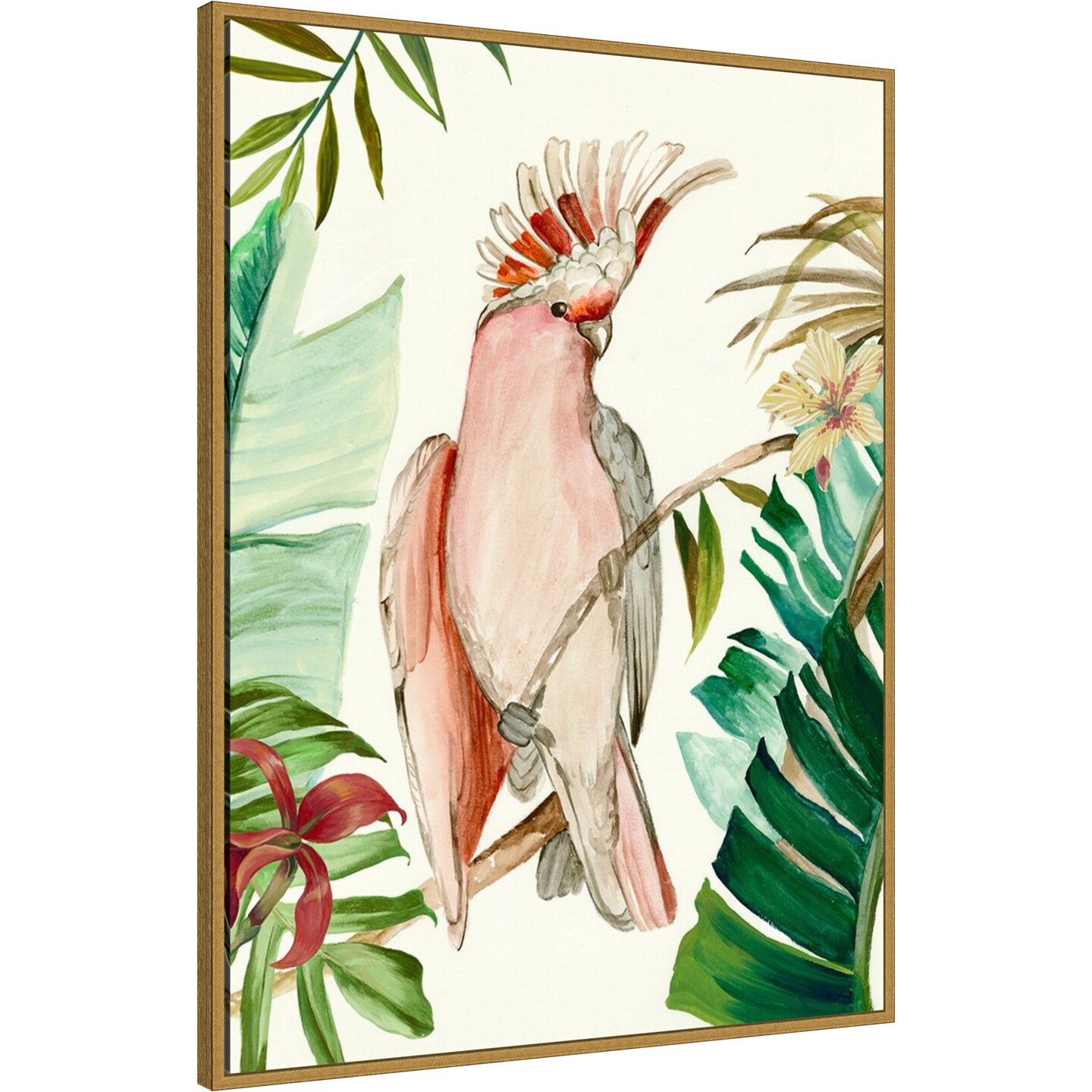 Tropical Bird I by Aimee Wilson Framed Canvas Wall Art