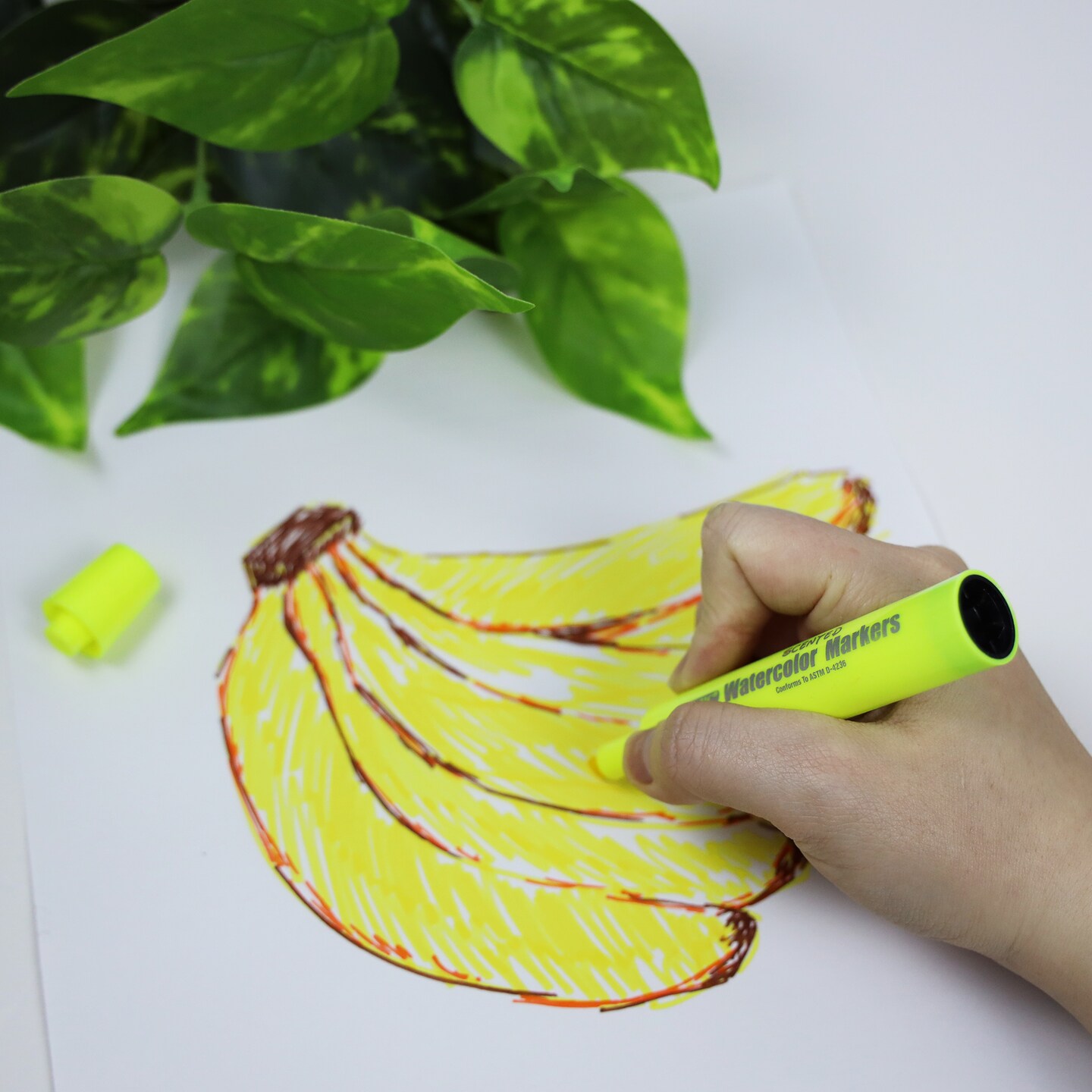 BAZIC Washable Scented Markers 6 Color