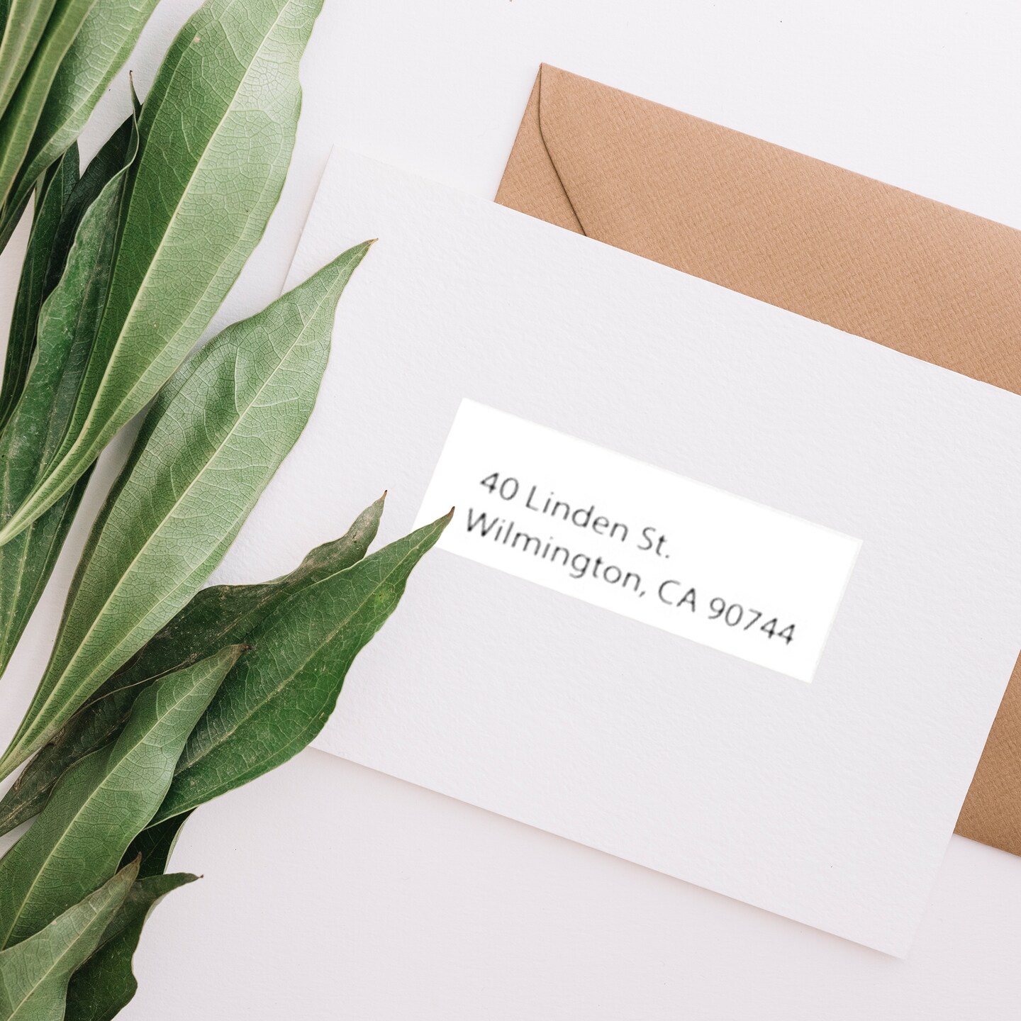 BAZIC White Address Labels 1&#x22; X 2 5/8&#x22; (300/Pack)