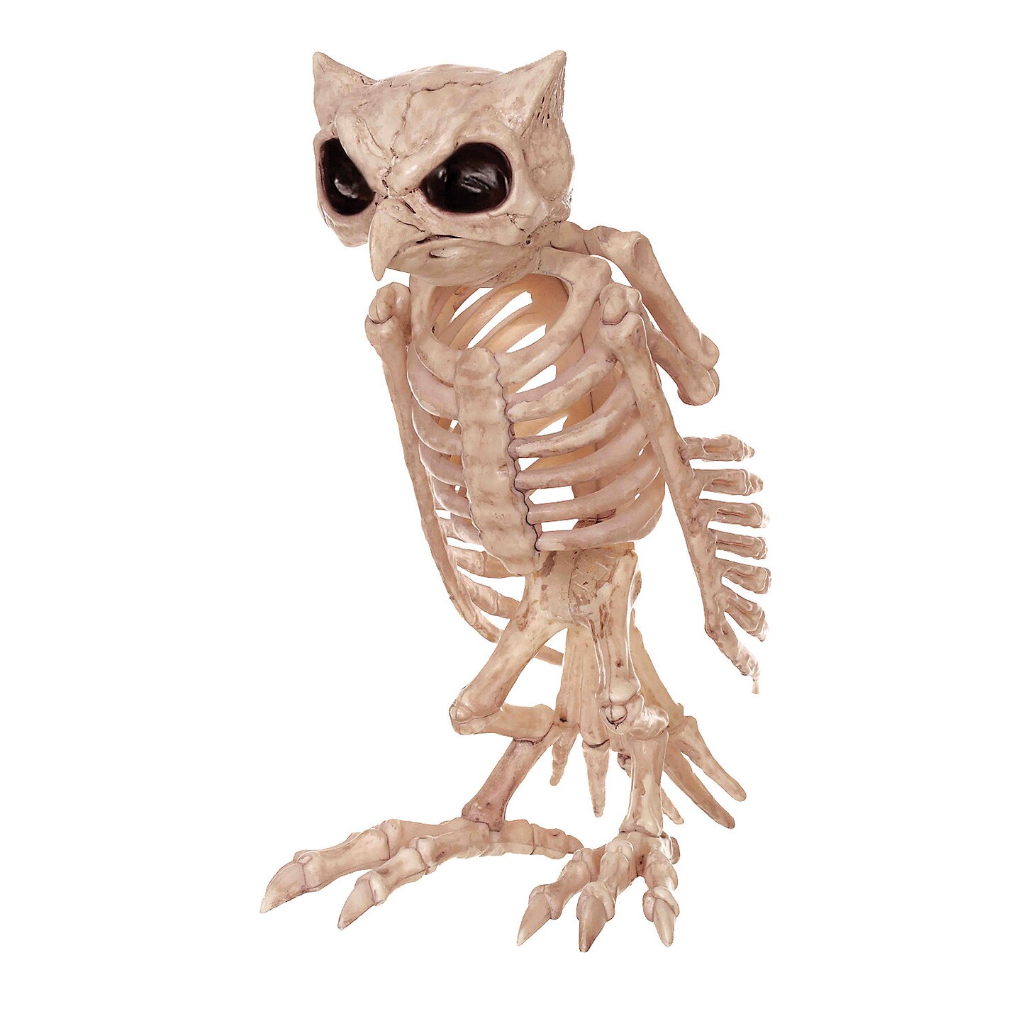 Owl Skeleton Decoration 13.5 inches Tall