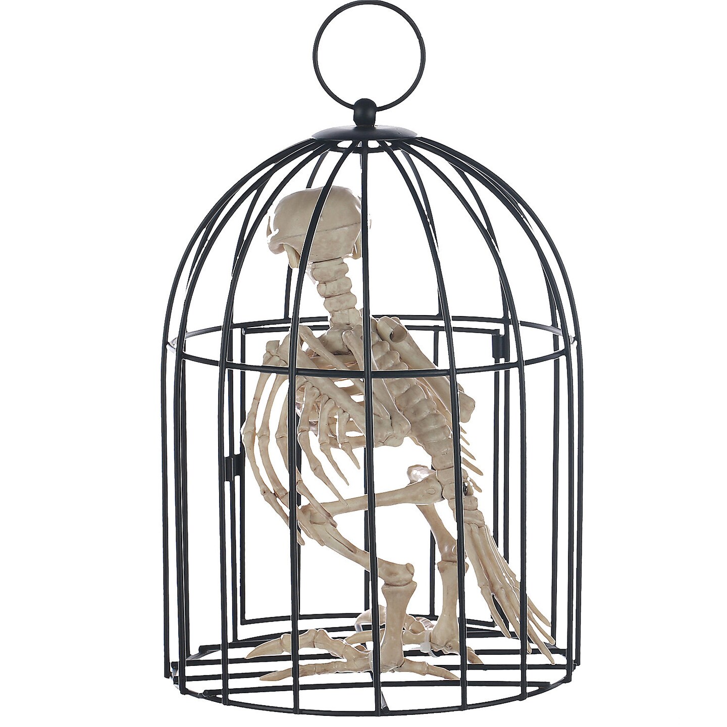 Skeleton Crow In Cage