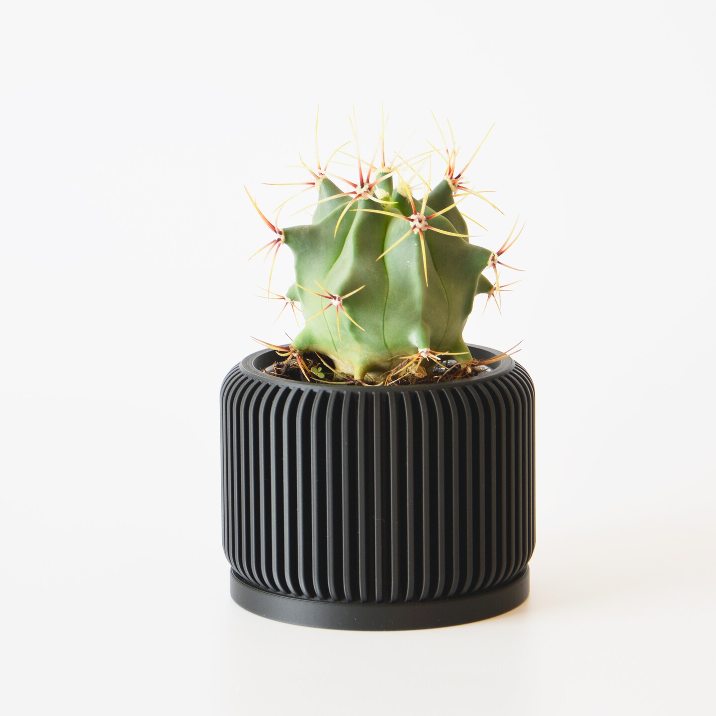 Indoor Planter Pot, Minimalistic Planter with Drip Saucer Tray, Pot with  Drainage, Succulents pot, Succulent Planter with drainage and tray |  MakerPlace by Michaels