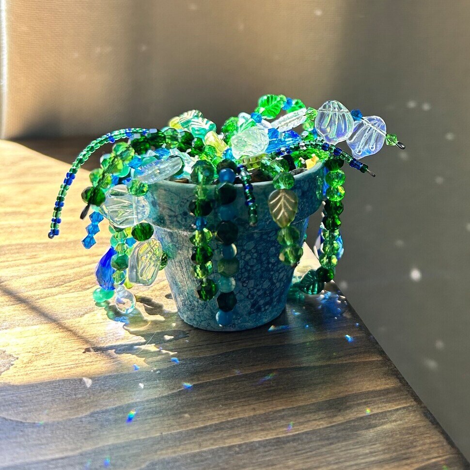 How-To name is Blue green Beaded Plant