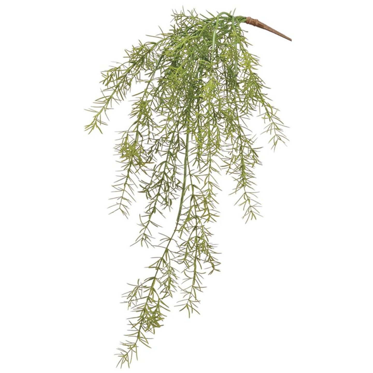 Allstate Soft Sprengeri Artificial Hanging Spray - 26" - Green