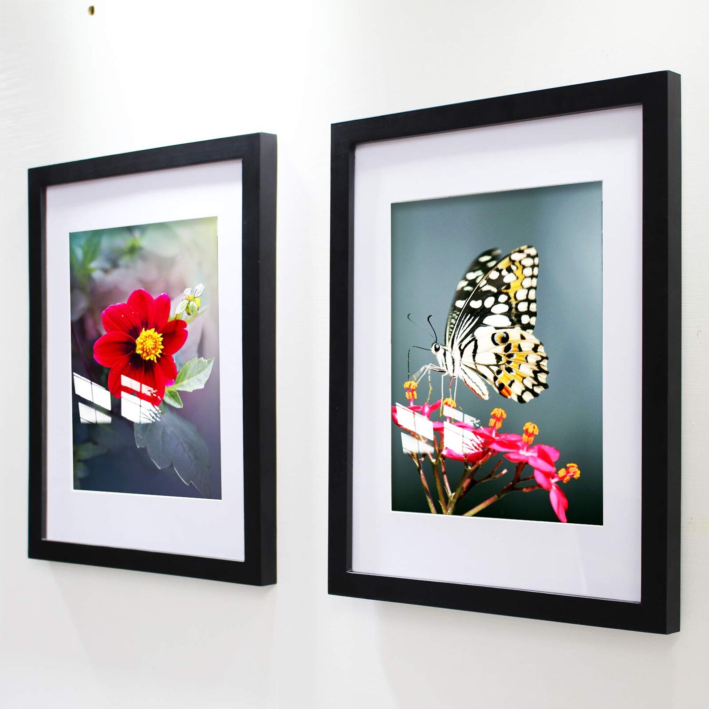 14x14 Frame Black With Mat 10x10 Solid Wood Picture Frames Wall Mounting (1 pack, 14x14 Inch)&#x2026;