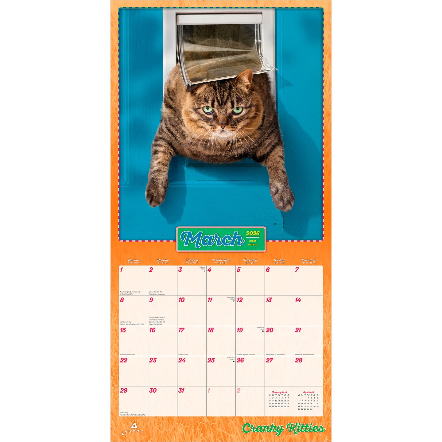 Avanti Cranky Kitties OFFICIAL | 2026 12 x 24 Inch (Hanging) Monthly Square Wall Calendar | Foil Stamped Cover | Plastic-Free | BrownTrout | Angry Cat Humor Feline