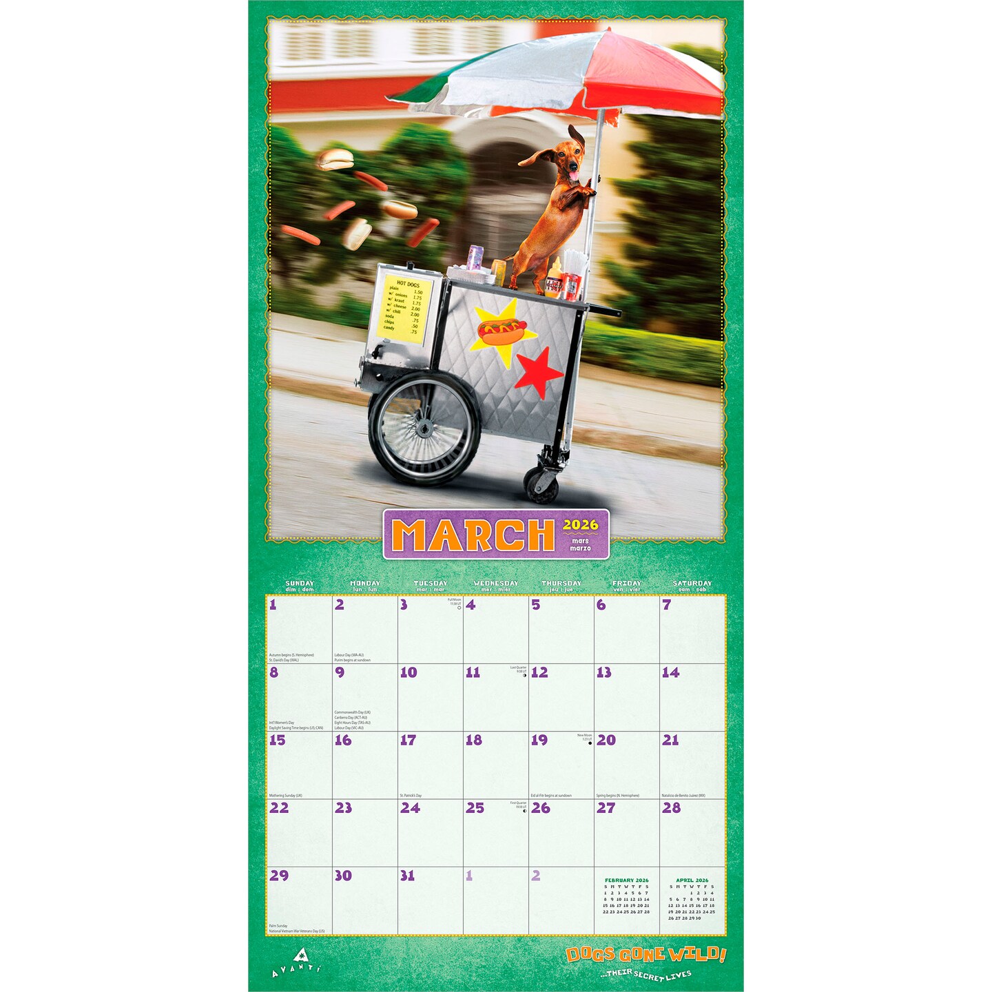 Avanti Dogs Gone Wild OFFICIAL | 2026 12 x 24 Inch (Hanging) Monthly Square Wall Calendar | Plastic-Free | BrownTrout | Canine Pet Humor