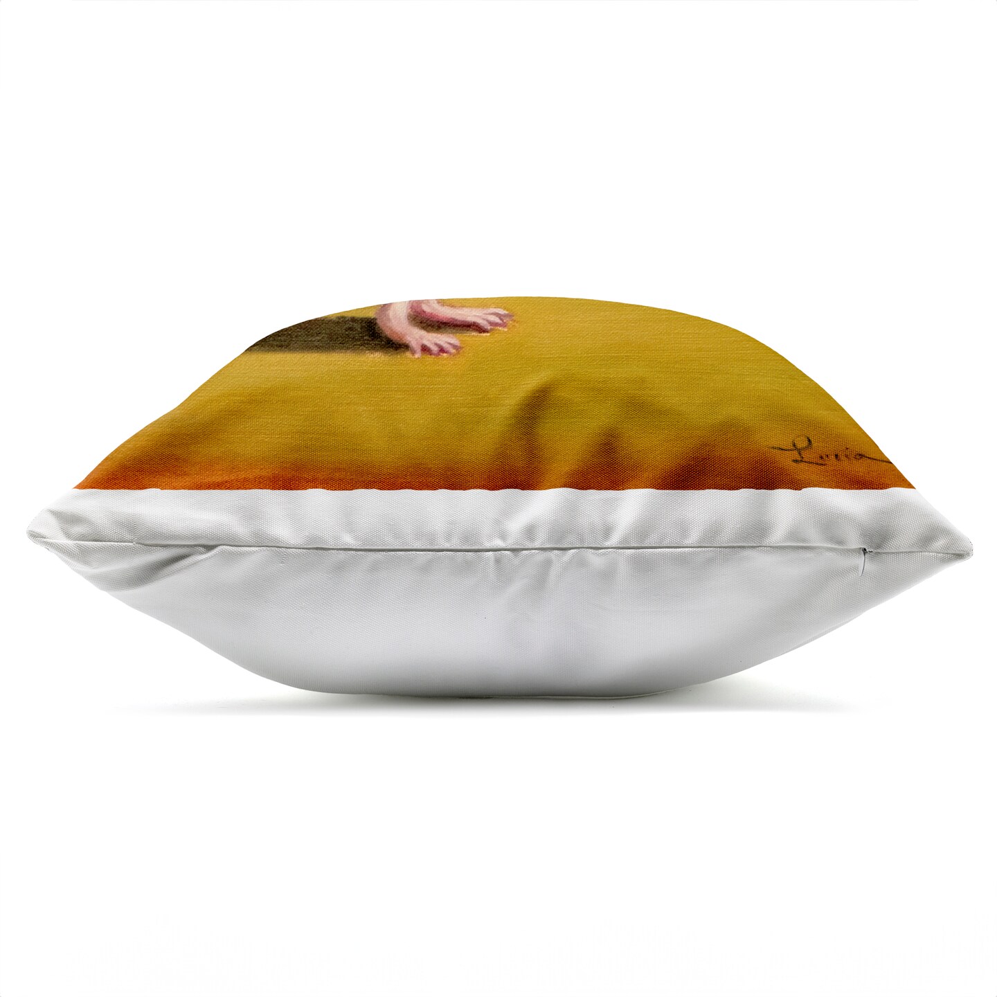 Stupell Industries Mouse Aerobics Workout Outdoor Printed Pillow, design by Lucia Heffernan, 18 x 7 x 18