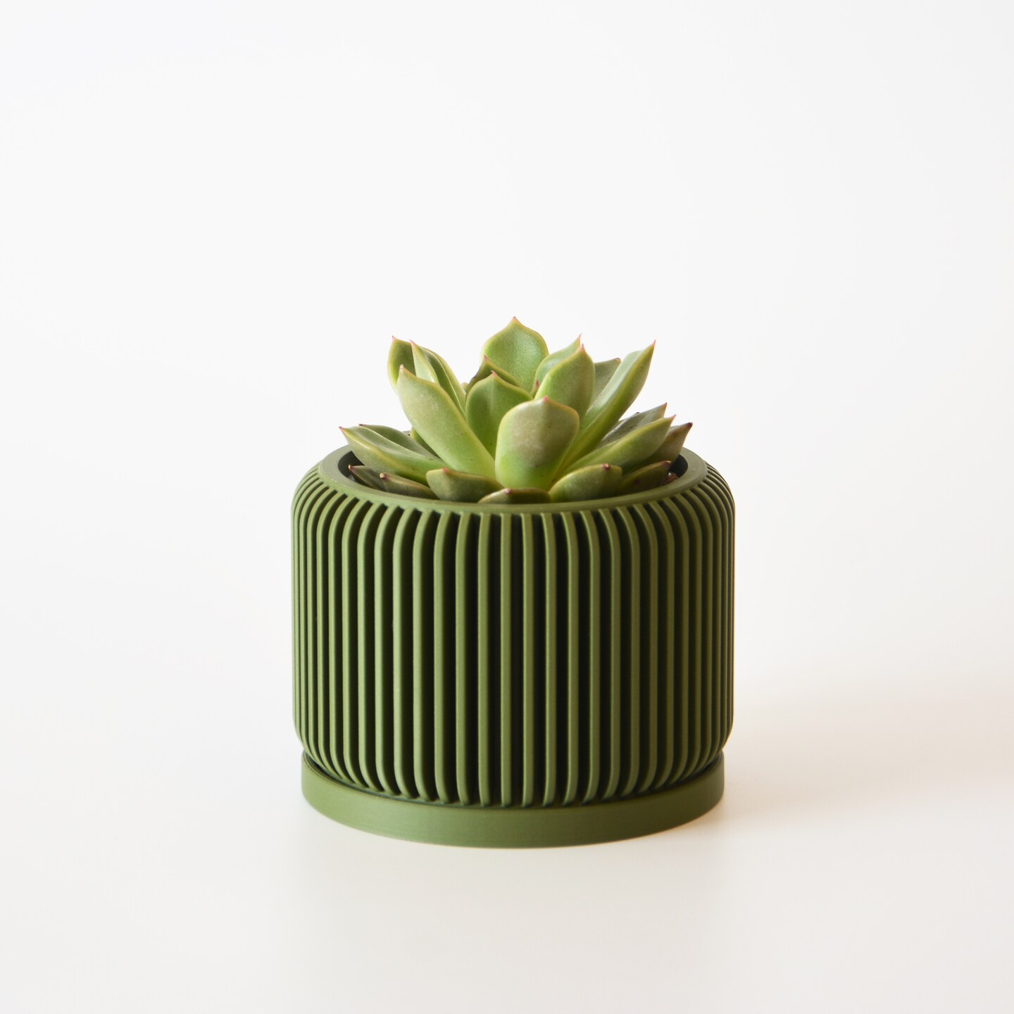 Indoor Planter Pot, Minimalistic Planter with Drip Saucer Tray, Pot with  Drainage, Succulents pot, Succulent Planter with drainage and tray |  MakerPlace by Michaels