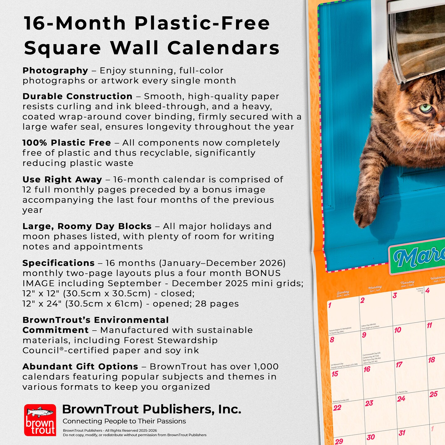 Avanti Cranky Kitties OFFICIAL | 2026 12 x 24 Inch (Hanging) Monthly Square Wall Calendar | Foil Stamped Cover | Plastic-Free | BrownTrout | Angry Cat Humor Feline