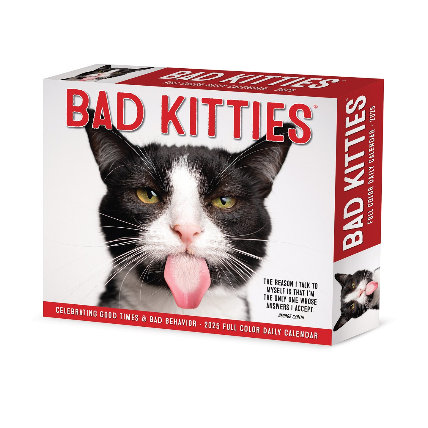 Bad Kitties 2025 Box Calendar - Cats and Kittens Daily Desktop