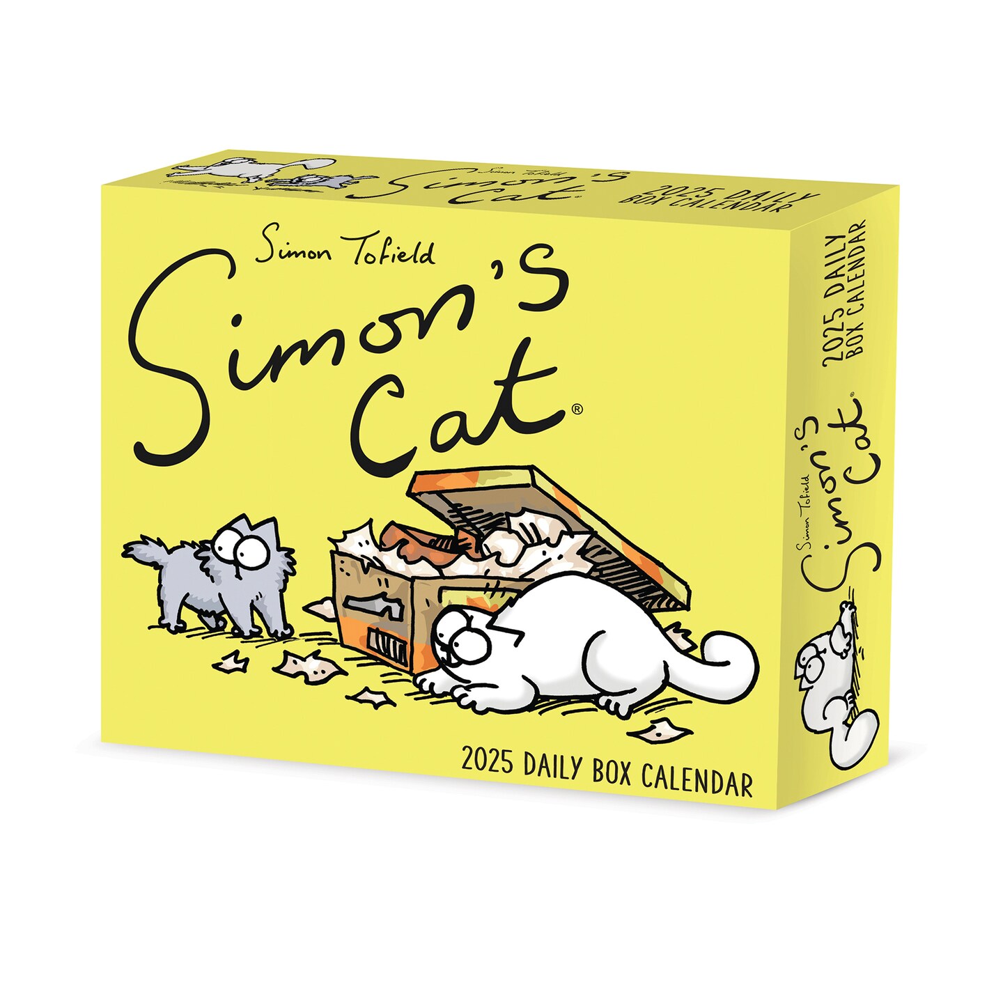 Simon&#x27;s Cat 2025 Box Calendar, Daily Desktop
