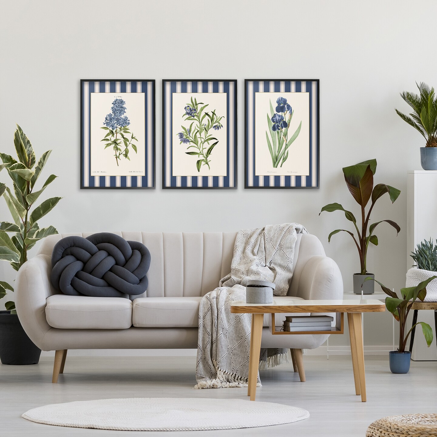 Stupell Industries Vintage Plant Studies over Stripes 3 Piece Black Framed Giclee Art Set, design by Corinne Haig