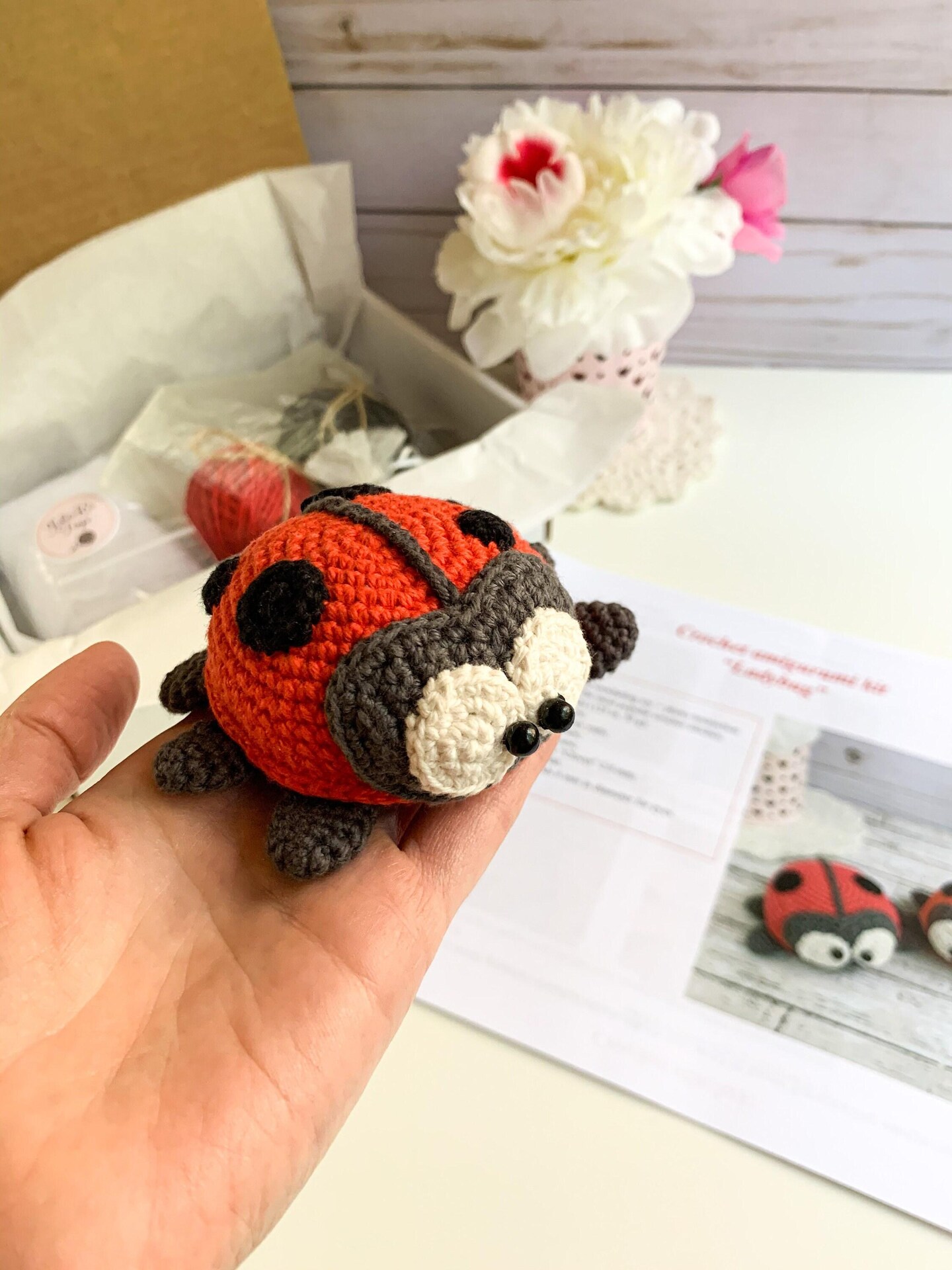 DIY Crochet Kit Amigurumi Ladybug Toy, Beginner-Friendly Craft Kit