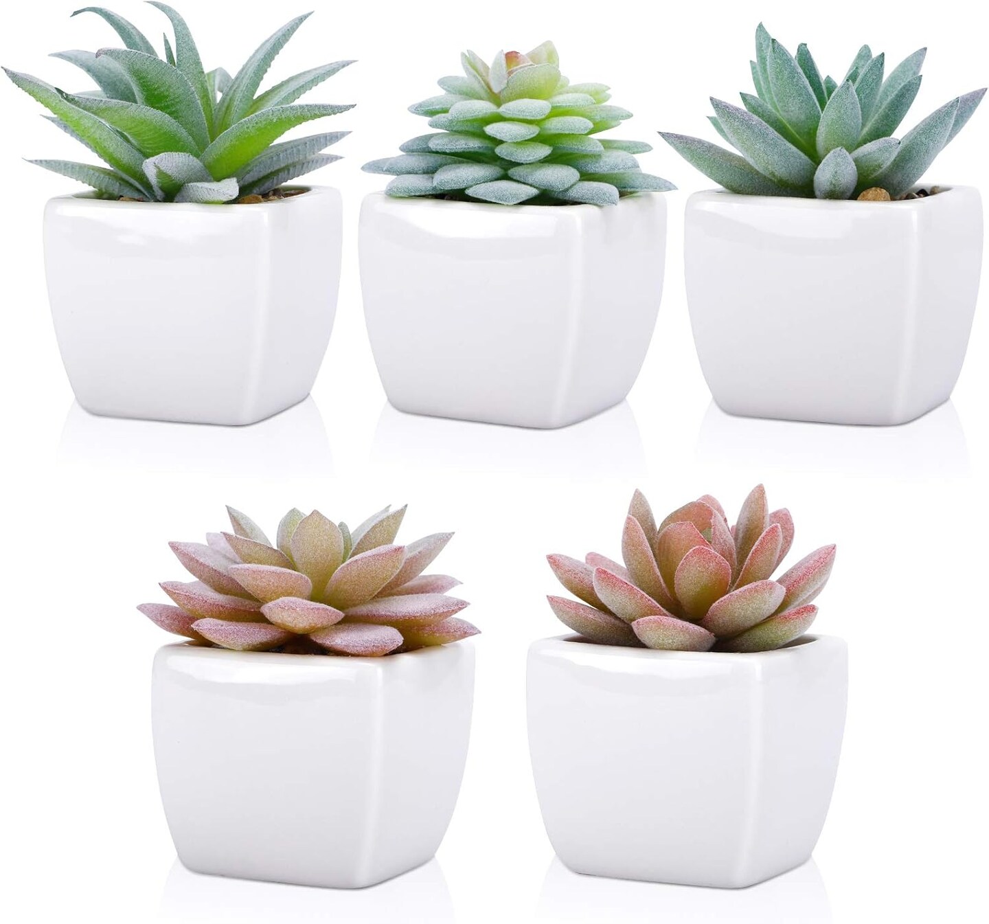5-Pack Artificial Succulent Plants in White Ceramic Pots – Small Realistic Fake Desk Plants for Home, Office, Bedroom, Living Room, Shelf & Windowsill Decor