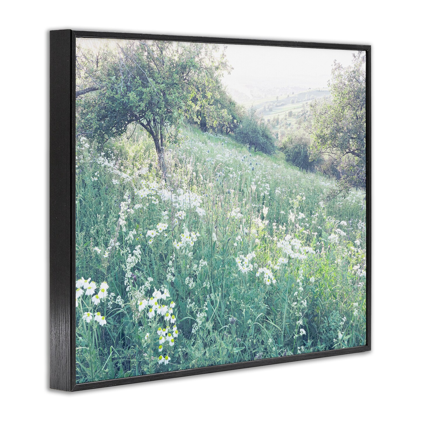 Stupell Industries Sunny Daisies in Meadow Framed Giclee, design by Leah Straatsma