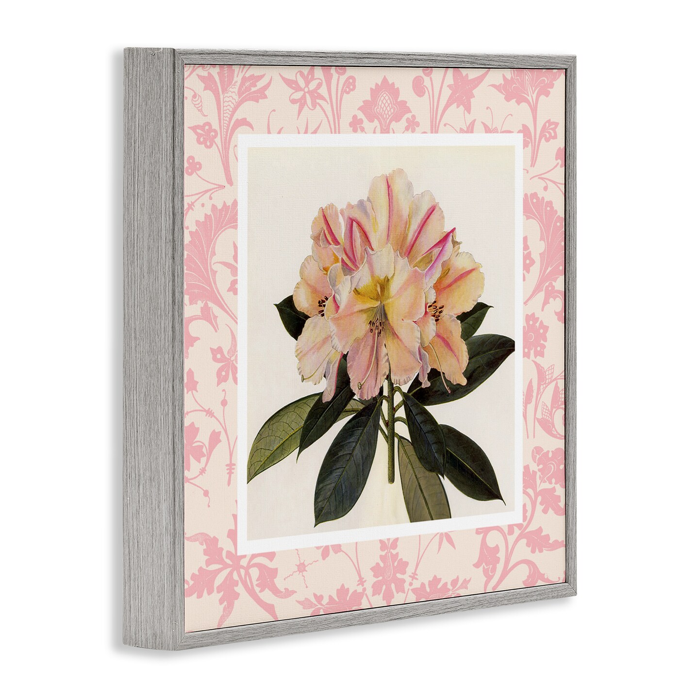 Stupell Industries Pink Vintage Pattern Botanical Framed Giclee, design by Livi Finn
