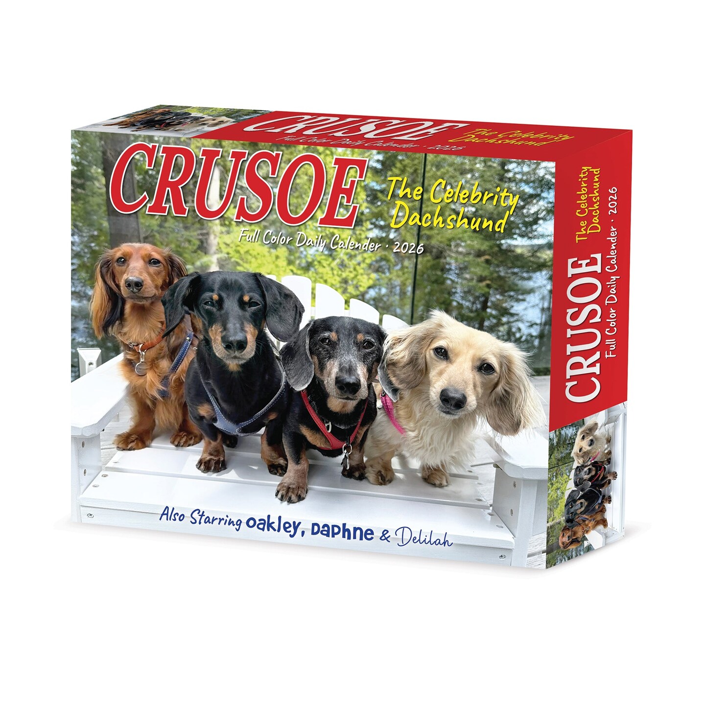 Crusoe the Celebrity Dachshund 2026 Box Calendar