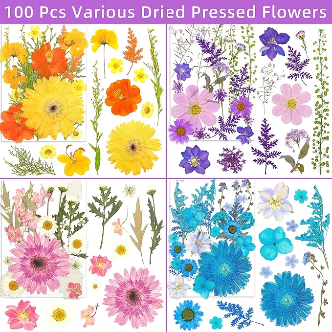 100pcs Natural Dried Pressed Flowers for Resin Molds – Colorful Real Daisy Flowers for Resin Jewelry, Nail Art & Pendants – Dried Botanicals with Tweezers – Floral Craft DIY Accessories for Scrapbooking, Candle Making & 2026 Wedding Keepsakes