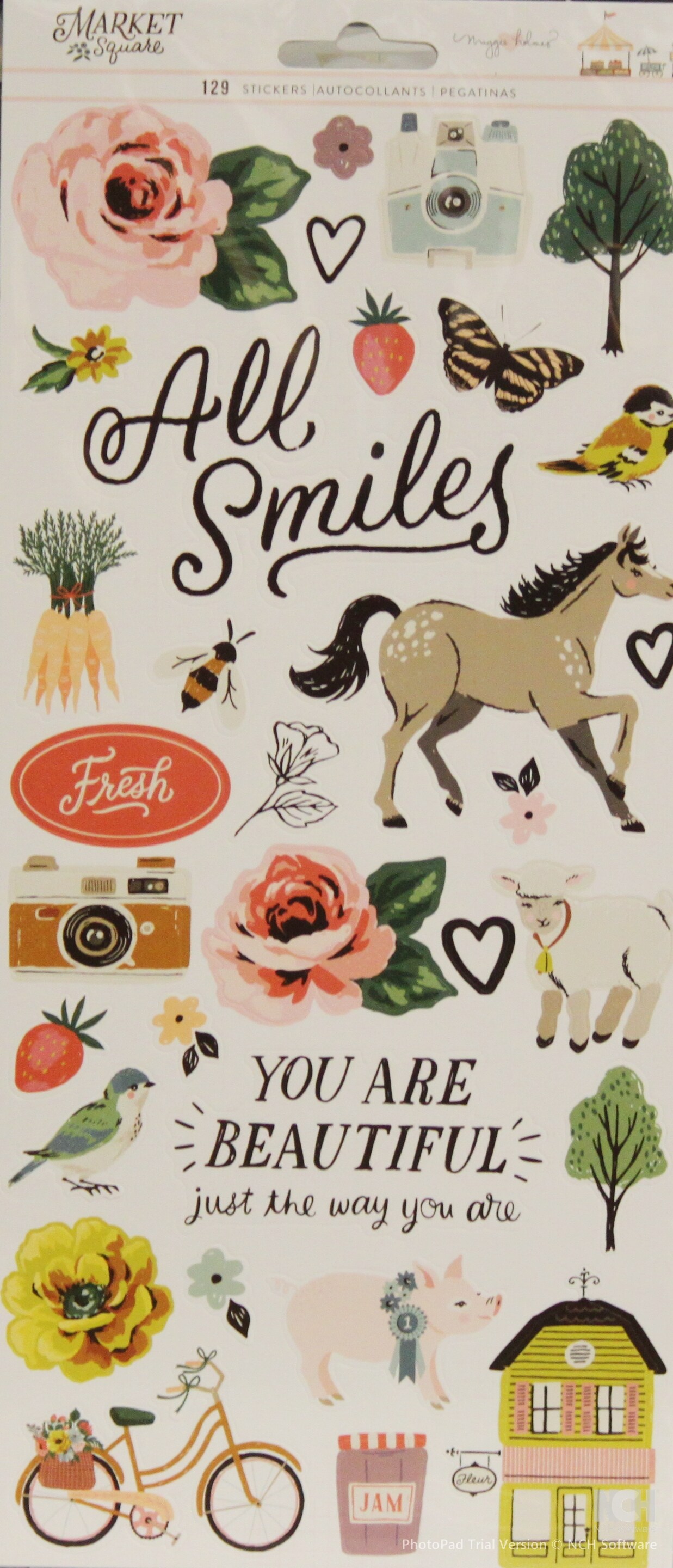 Maggie Holmes Market Square XXL Cardstock Stickers-2 Sheets | Michaels