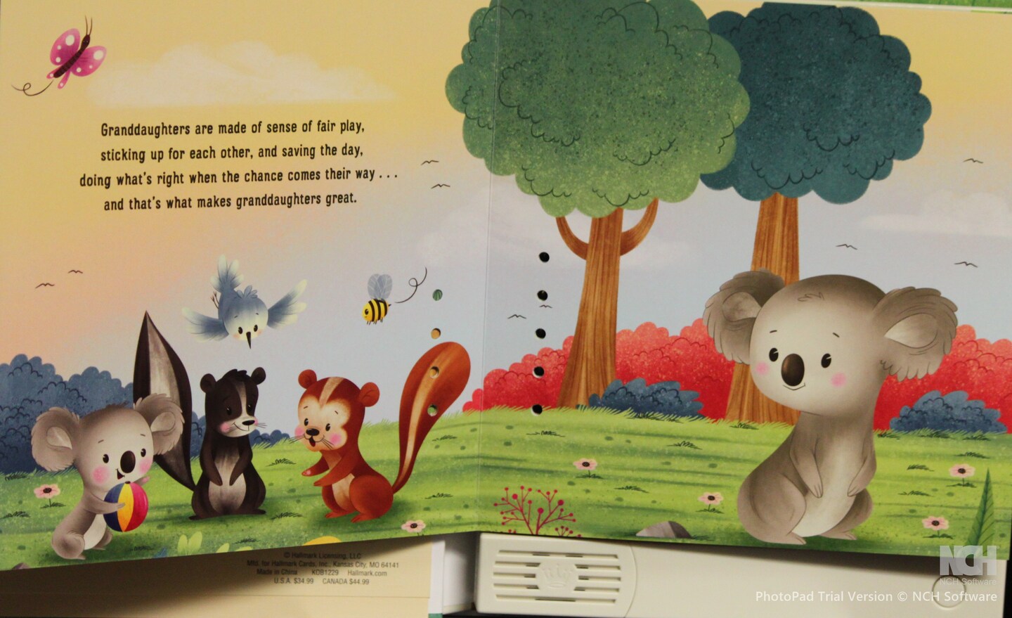 Hallmark What Are Granddaughters Made Of? Recordable Storybook