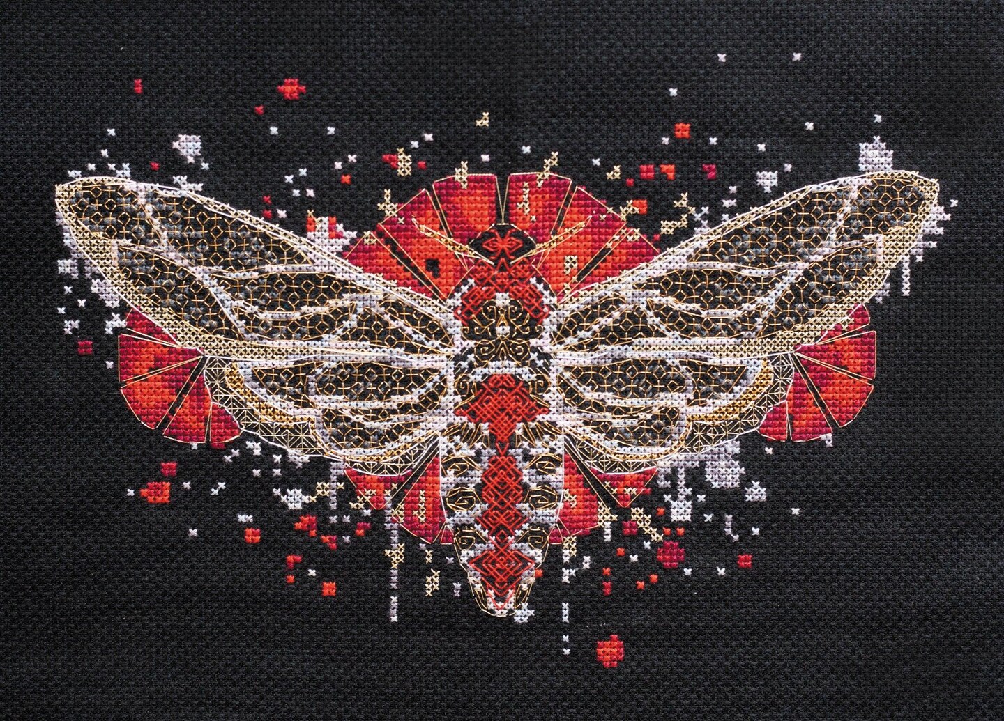 Cross-stitch kit Calyptra