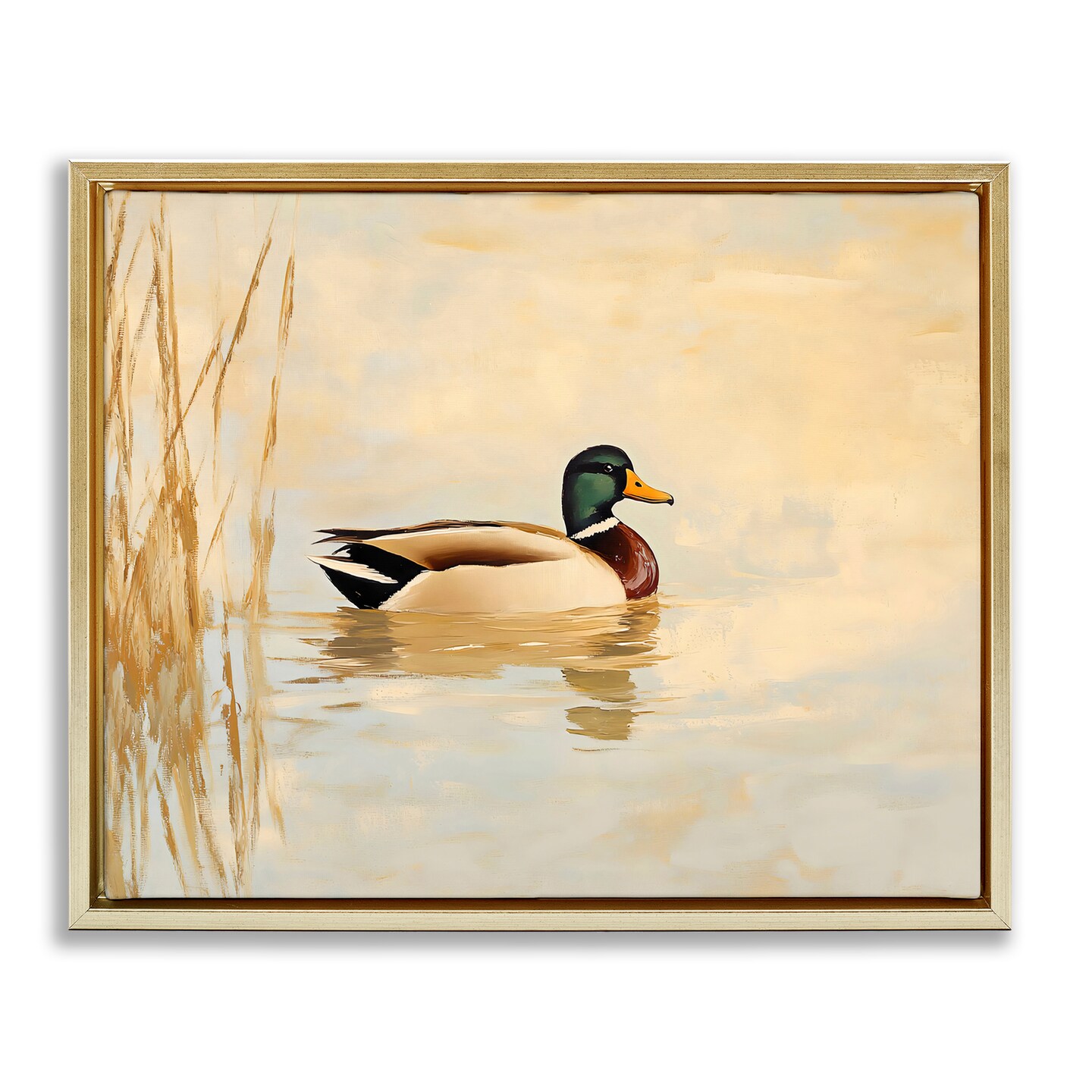 Stupell Industries Green Headed Duck Floating Frame By Franklyn Gregory