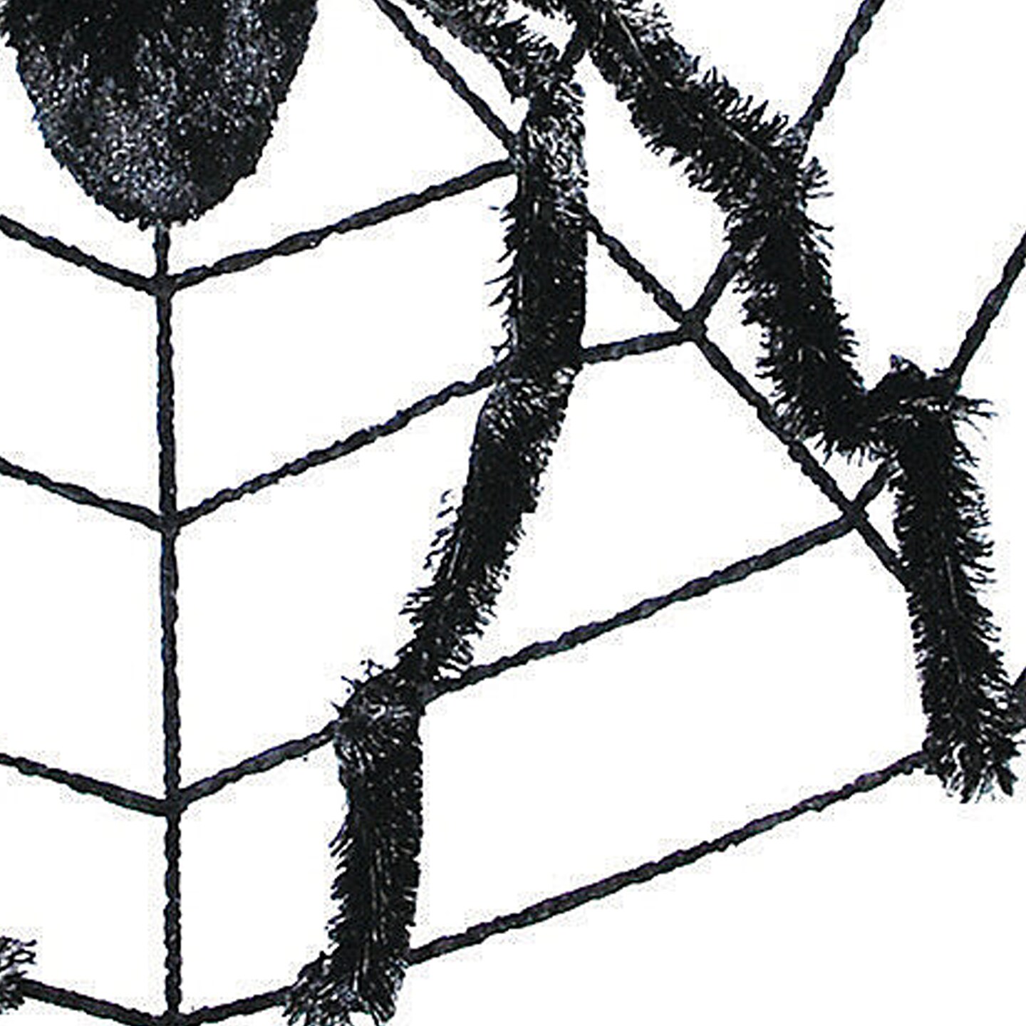 Spider Web With Spider