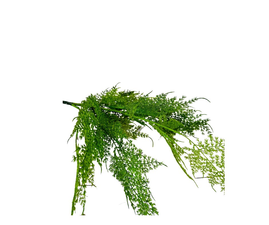 Lush 21&#x22; Artificial Asparagus Fern Bush for Lifelike Greenery-148223