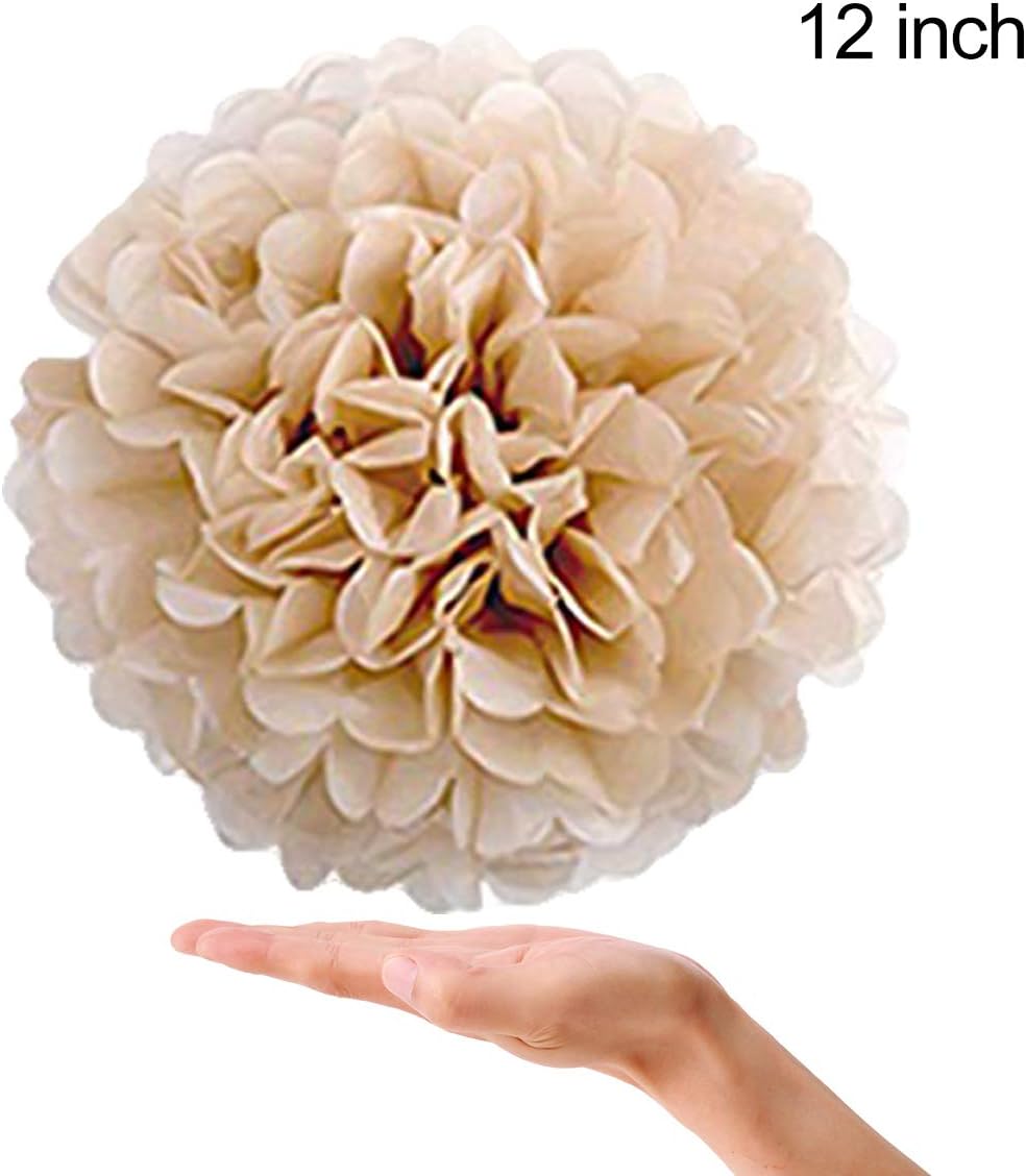 Tissue Paper Pom Poms Paper Flower 22 Pcs Champagne, Ivory, White, Peach for Birthday Bachelorette Wedding Baby Shower Bridal Shower Party Decoration