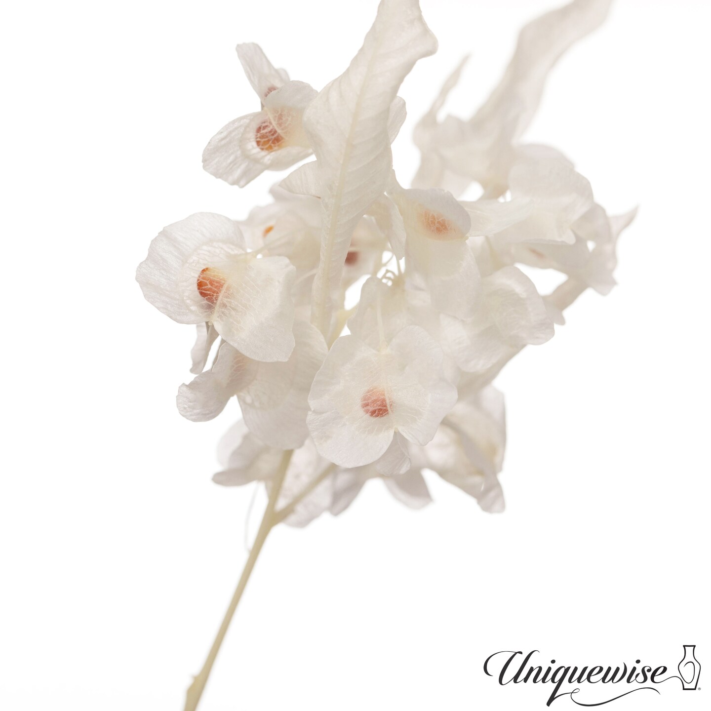 Uniquewise Preserved Real Floral Stems Chic Vase Fillers &#x26; Accents for Bouquets Centerpieces &#x26; Ornamental Displays Ideal for Home Office Boutique Cafe Resto Bar and Event Decor