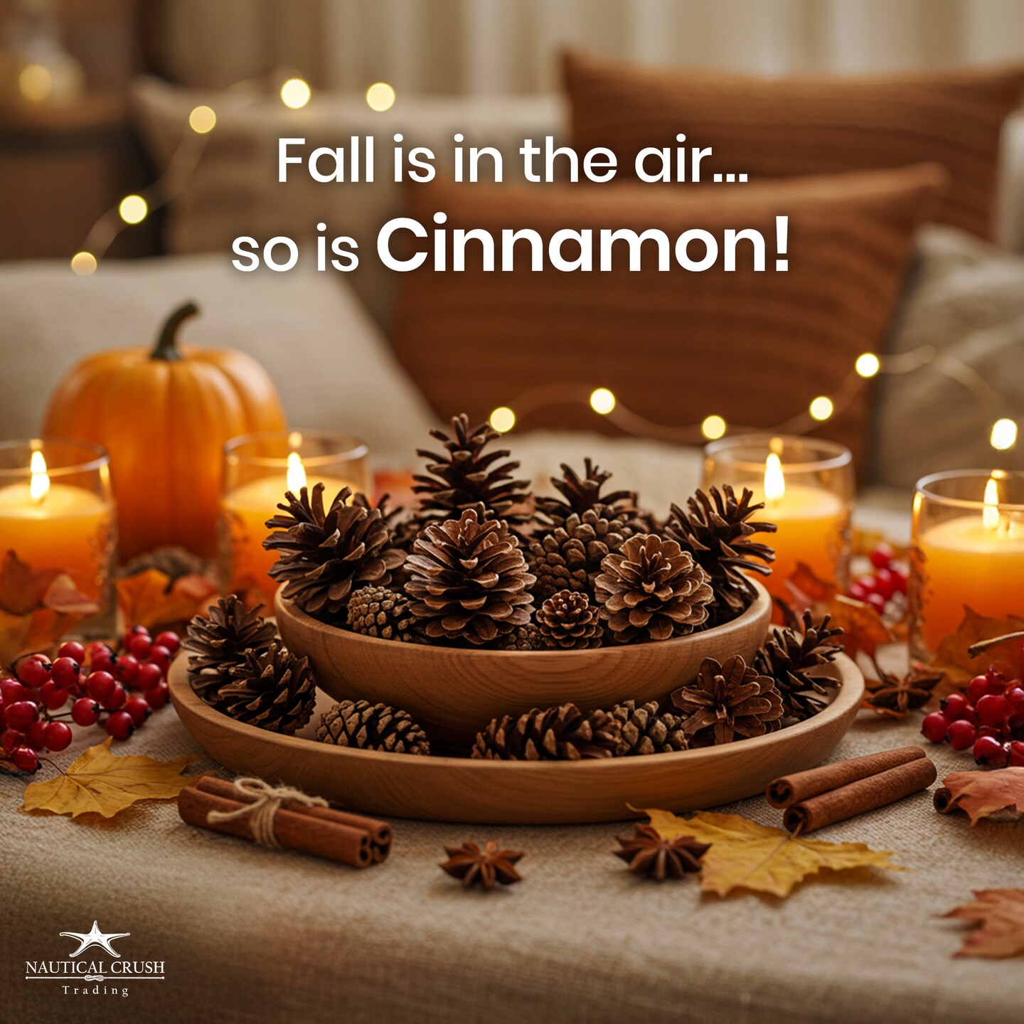 Cinnamon Scented Pinecones Variety 1 lb for Decorating, Over 40 Small Cinnamon Pine Cones for Crafts and Vase Filler Cinnamon Fragrance Pine Cones