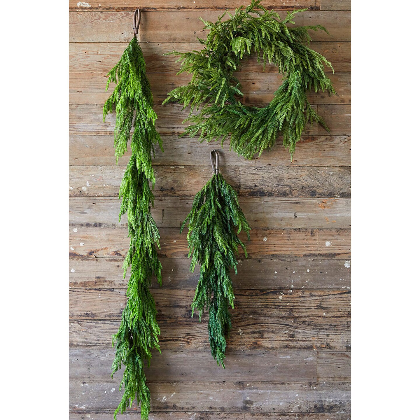 24&#x201D; Just Cut Norfolk Pine Wreath Fresh &#x26; Lush Holiday Decoration