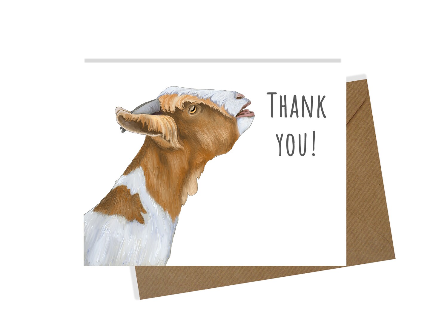 A2 CARD SET - Within Reach Thank You Cards - Discover Farm Whimsy