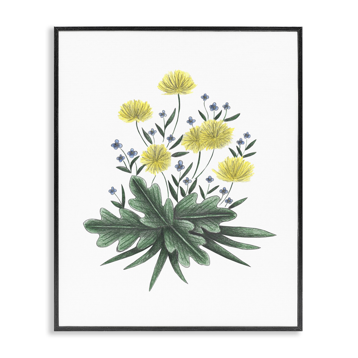 Stupell Industries Dandelion Flower Illustration Framed Giclee, design by Cecilia Battaini
