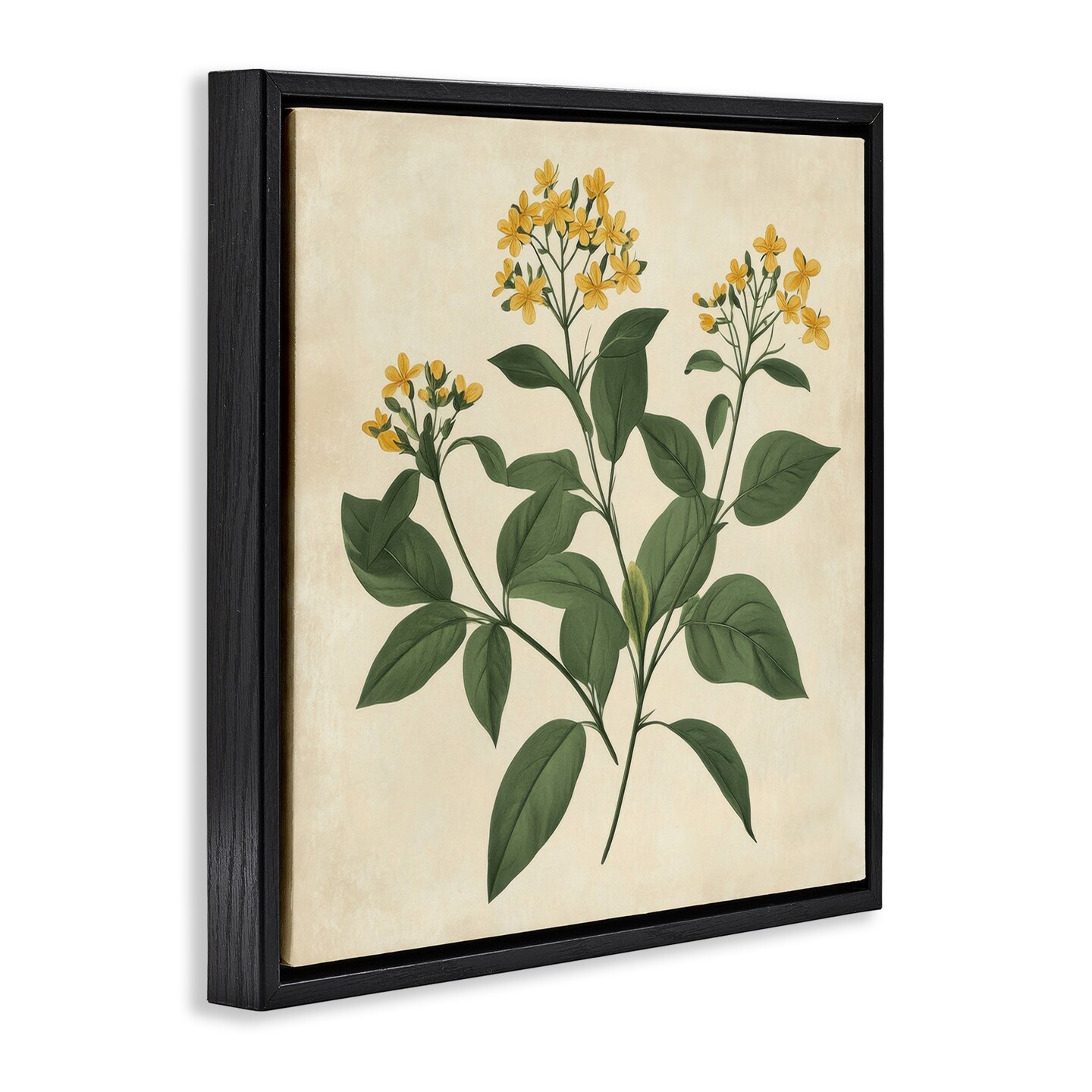 Stupell Industries Yellow Bushels Botanical Illustration Floating Frame, design by Petal Prints Design