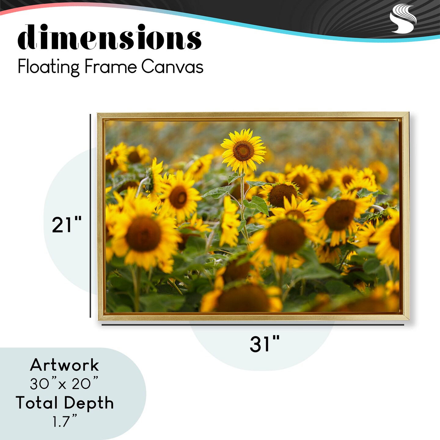 Stupell Industries Central Sunflower in Meadow Floating Frame, design by Andy Crawford