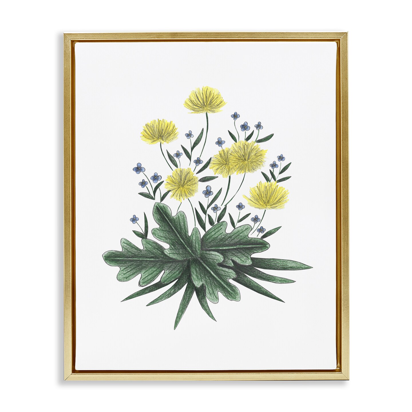 Stupell Industries Dandelion Flower Illustration Floating Frame, design by Cecilia Battaini