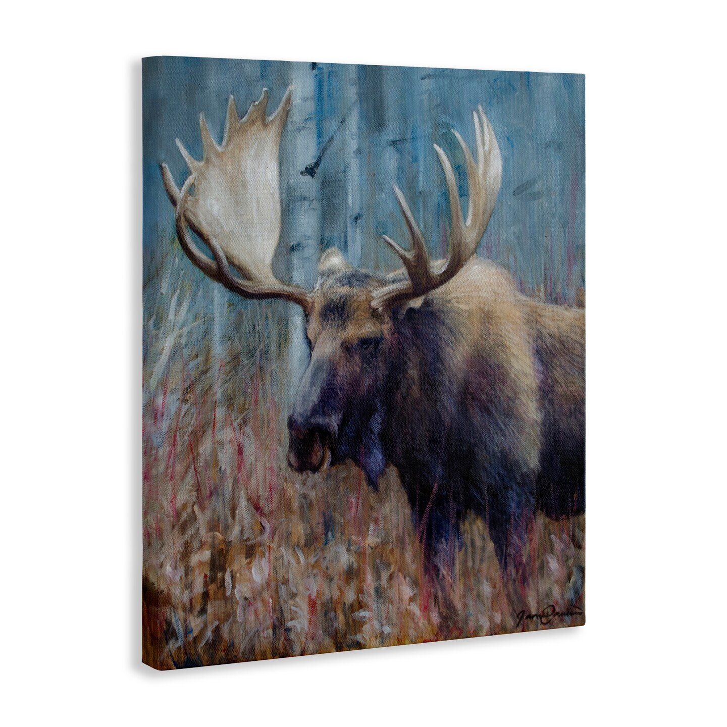 Stupell Industries Expressive Moose in Forest Canvas, design by James Corwin
